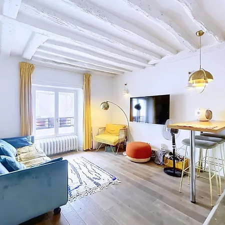 Charming Duplex Place Des Vosges