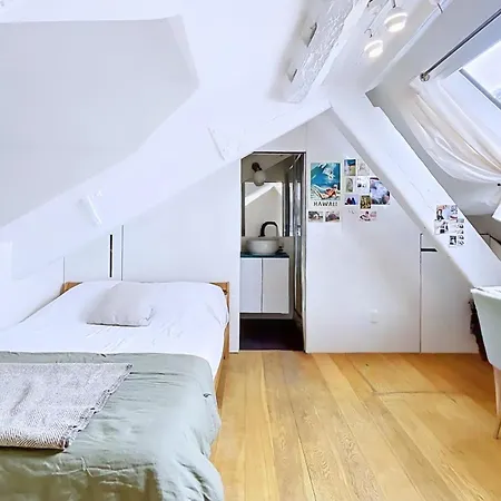 Charming Duplex Place Des Vosges Apartman *