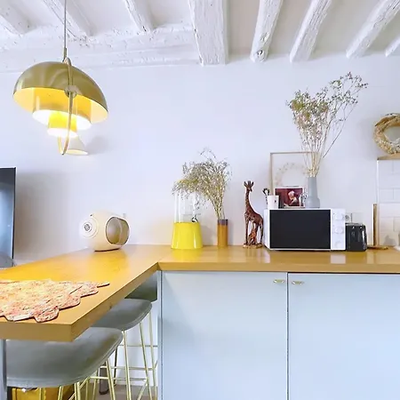Charming Duplex Place Des Vosges Apartman