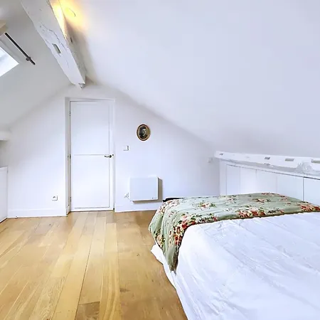 Charming Duplex Place Des Vosges *