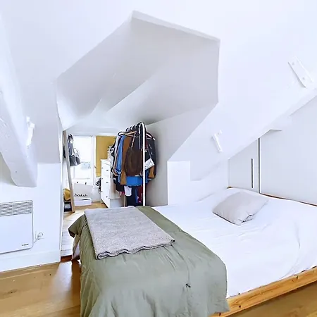 Charming Duplex Place Des Vosges